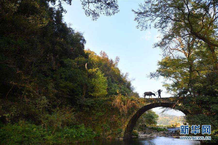 （圖文互動(dòng)）（3）鄉(xiāng)村攝影師、鄉(xiāng)村&ldquo;模特&rdquo;、民宿店主&mdash;&mdash;鄉(xiāng)村旅游推動(dòng)婺源農(nóng)民生活方式發(fā)生新變化