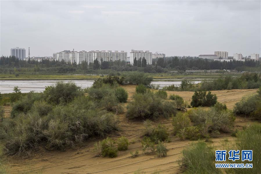 （新華全媒頭條&middot;圖文互動(dòng)）（1）大漠小城的絕地反擊