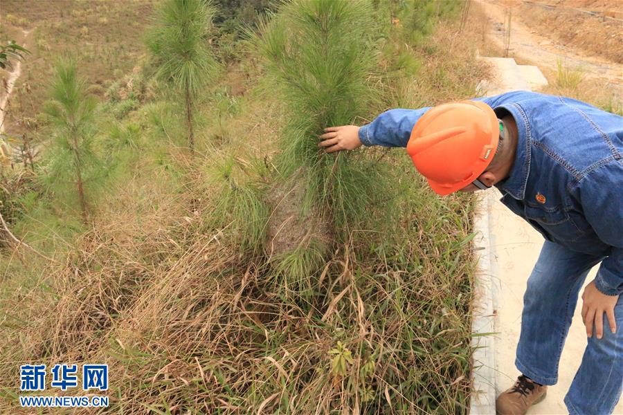 （生態(tài)文明建設(shè)&middot;圖文互動）（3）粵北生態(tài)發(fā)展區(qū)筑牢粵港澳大灣區(qū)綠色屏障