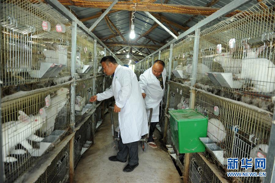 （新華全媒頭條&middot;圖文互動）（4）干部去哪兒了？&mdash;&mdash;貴州干部大規(guī)模下沉脫貧攻堅一線紀(jì)實