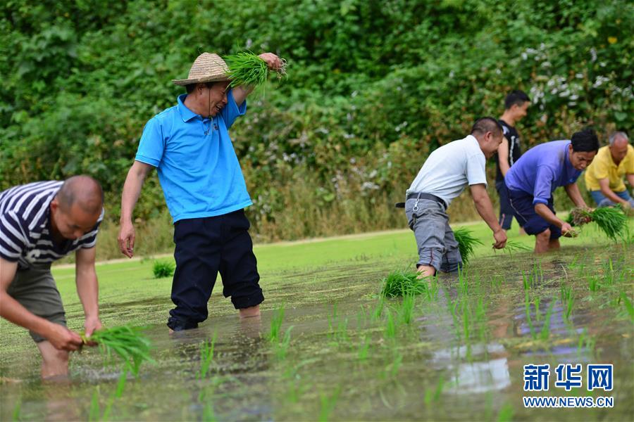 （新華全媒頭條&middot;圖文互動）（8）干部去哪兒了？&mdash;&mdash;貴州干部大規(guī)模下沉脫貧攻堅一線紀(jì)實