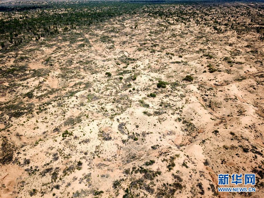 （圖文互動）（2）陜西榆林毀林建光伏電站追蹤：還有哪些疑團(tuán)有待破解？ 