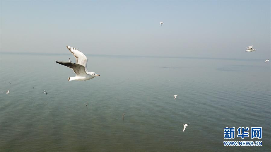 （新華全媒頭條&middot;圖文互動）（1）大湖見證&mdash;&mdash;長三角三大淡水湖綠色發(fā)展之路