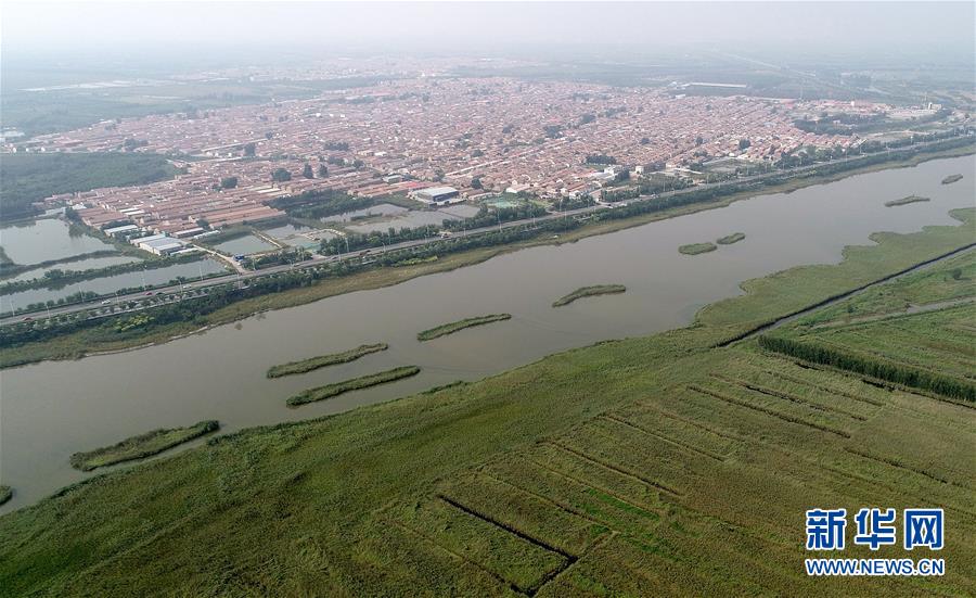 （新華全媒頭條&middot;兩會特別報道&middot;圖文互動）（8）開拓更加寬廣的高質(zhì)量發(fā)展前景&mdash;&mdash;從全國兩會看奮進中國的堅定步伐