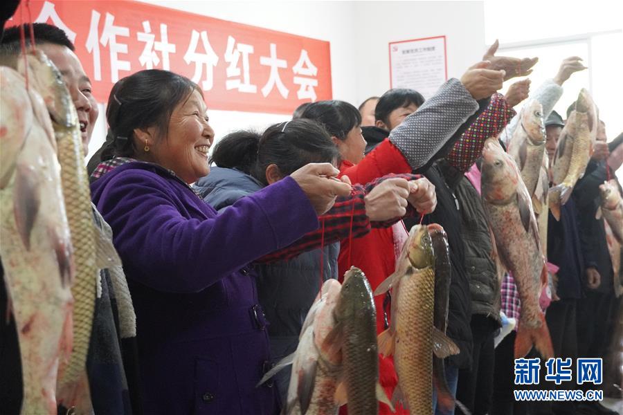 （新春走基層&middot;圖文互動(dòng)）（3）&ldquo;空殼村&rdquo;分紅啦！