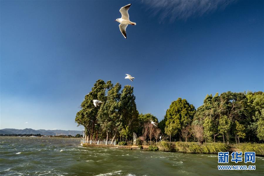 （圖文互動(dòng)）（7）跨越發(fā)展起宏圖 信心滿懷著華章&mdash;&mdash;習(xí)近平總書記考察云南回訪記