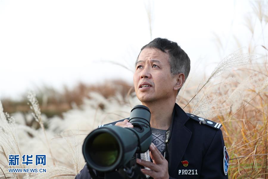 （新春走基層&middot;圖文互動(dòng)）他們，默默守護(hù)候鳥