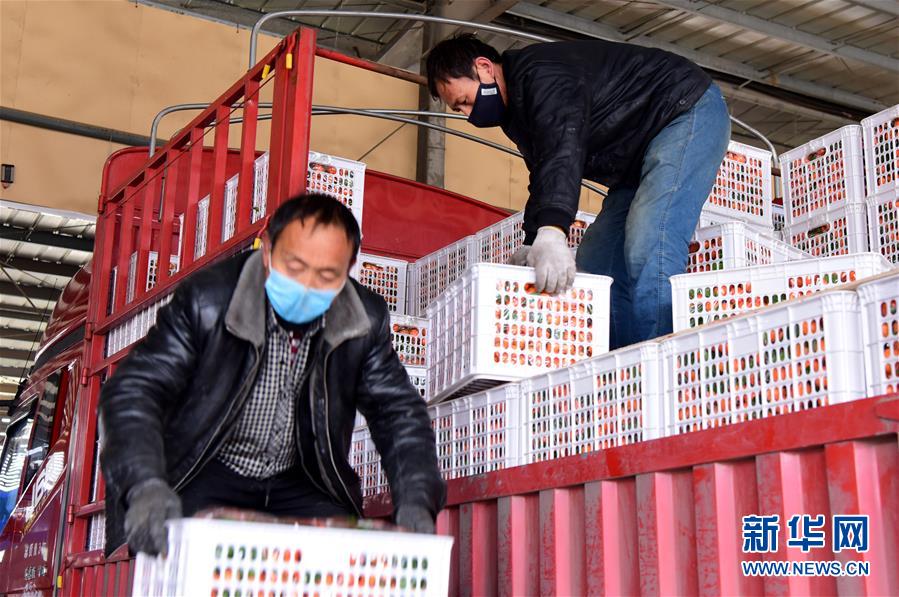 （聚焦疫情防控&middot;圖文互動(dòng)）（5）吃的東西充足，做點(diǎn)花樣菜吧！&mdash;&mdash;中部地區(qū)最大農(nóng)產(chǎn)品批發(fā)市場(chǎng)見聞 