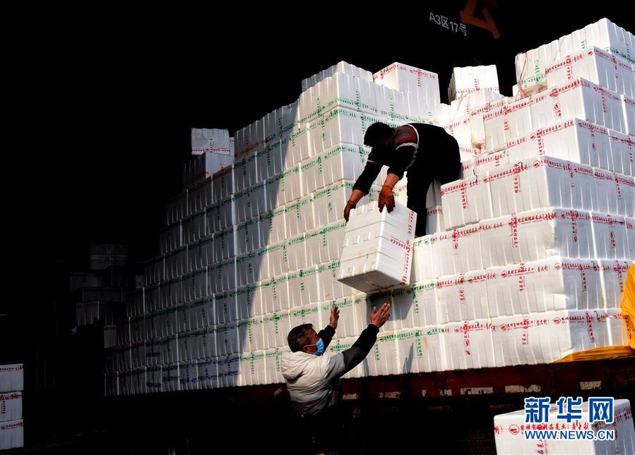 （聚焦疫情防控&middot;圖文互動(dòng)）（4）吃的東西充足，做點(diǎn)花樣菜吧！&mdash;&mdash;中部地區(qū)最大農(nóng)產(chǎn)品批發(fā)市場(chǎng)見聞 