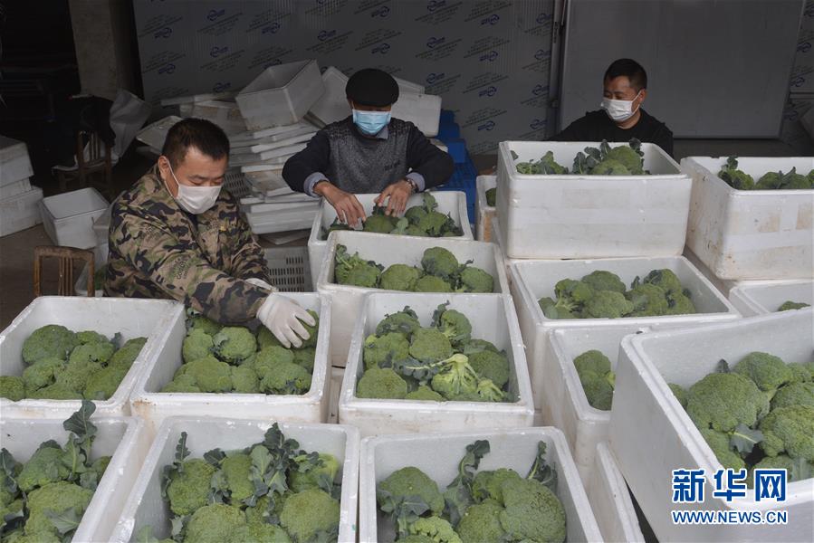 （做好六穩(wěn)工作 應(yīng)對(duì)復(fù)雜局面&middot;圖文互動(dòng)）（2）穩(wěn)住&ldquo;菜籃子&rdquo; 守住&ldquo;好日子&rdquo;