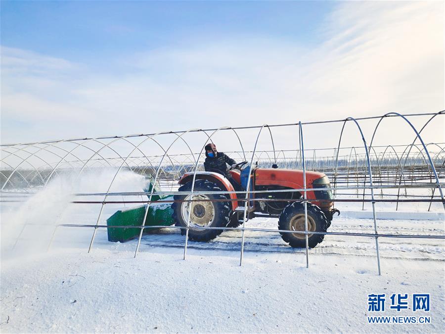 （春耕備耕&middot;圖文互動）（2）&ldquo;疫&rdquo;線賽農(nóng)時 播種新希望&mdash;&mdash;產(chǎn)糧大省黑龍江別樣&ldquo;備耕圖&rdquo;