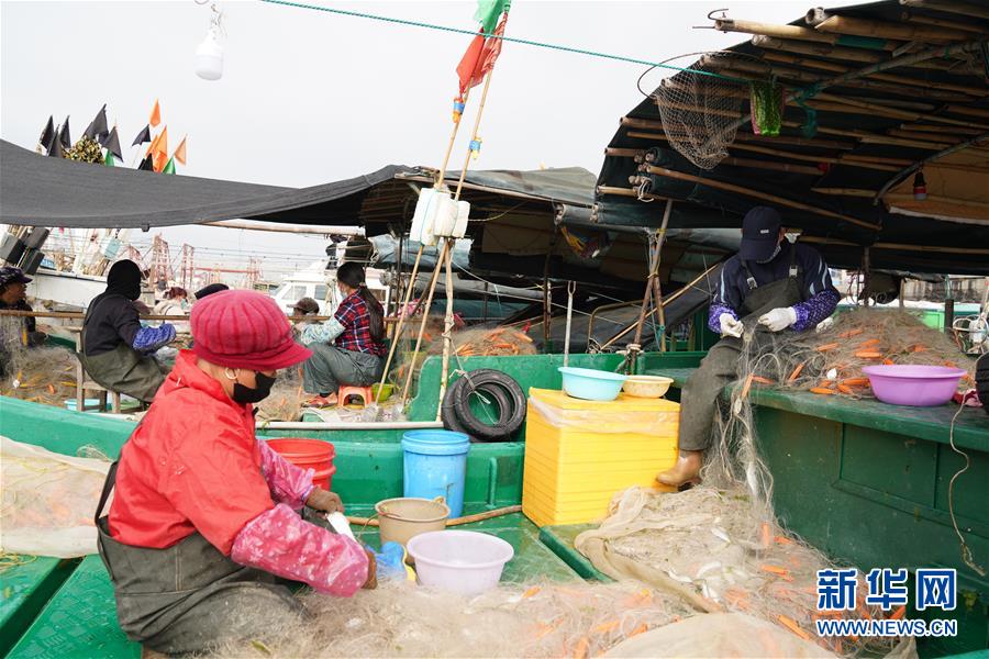 (圖文互動)(2)與疫情抗?fàn)?與春光同行——廣西農(nóng)村春耕備耕一線觀察