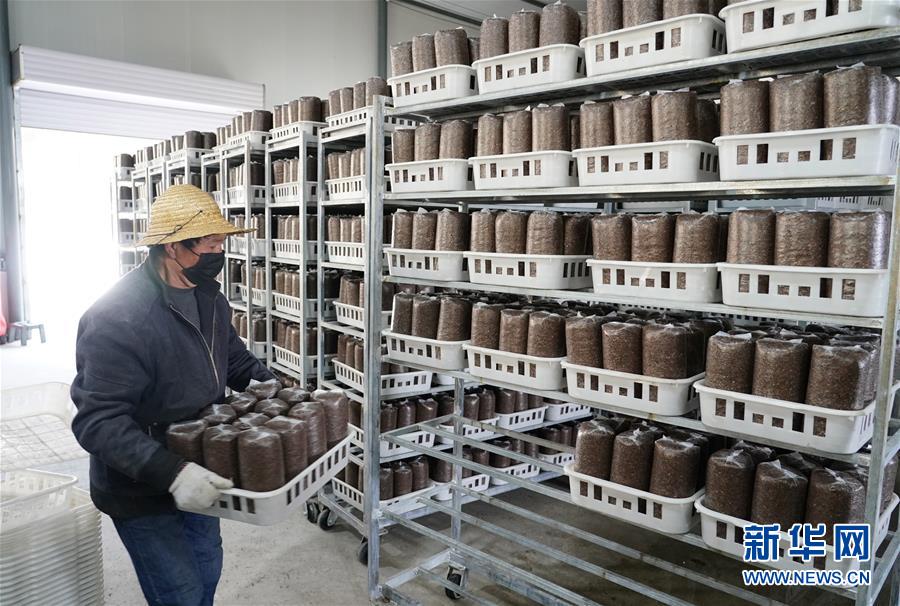 （決戰(zhàn)決勝脫貧攻堅&middot;圖文互動）（1）秦巴山區(qū)：戰(zhàn)疫戰(zhàn)貧，兩場仗都要打贏