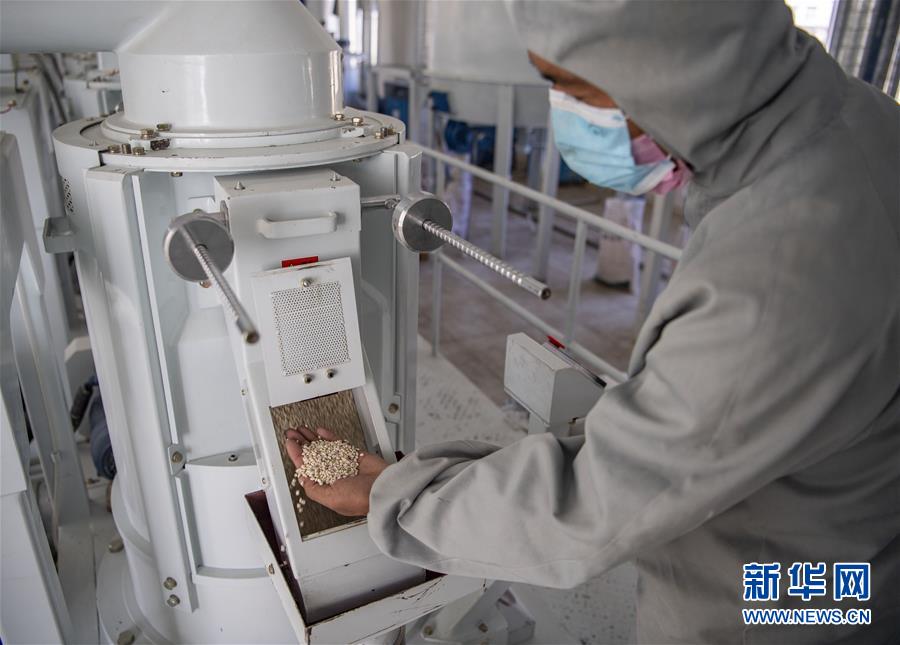 （新華全媒頭條&middot;圖文互動(dòng)）（7）血脈同心 共盼春來(lái)&mdash;&mdash;疫情阻擊戰(zhàn)中的雪域故事