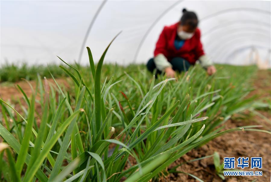 （圖文互動(dòng)）（3）&ldquo;春天到了，熟悉的生活正在慢慢回來(lái)&rdquo;&mdash;&mdash;陜西多地復(fù)產(chǎn)復(fù)工一線見(jiàn)聞