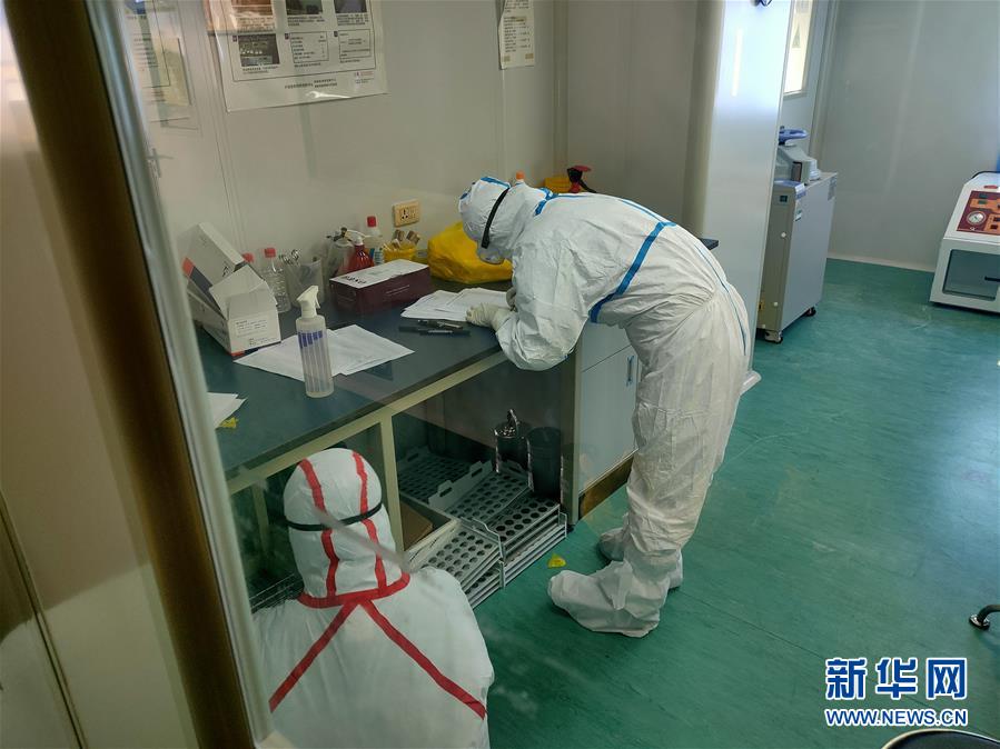 （一線抗疫群英譜&middot;圖文互動）（2）三千里馳援的&ldquo;病毒偵察兵&rdquo;