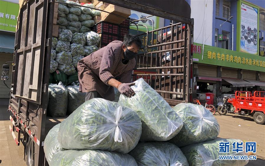 （圖文互動(dòng)）（4）青青園中葵 朝露待日晞&mdash;&mdash;云南組織蔬菜等農(nóng)產(chǎn)品支援湖北記略