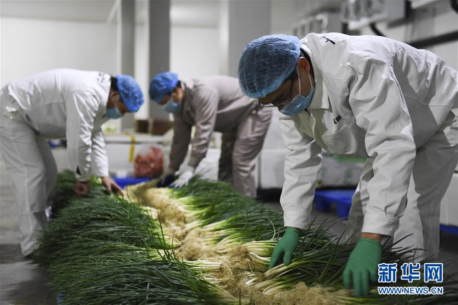 （圖文互動(dòng)）（6）&ldquo;早一天復(fù)工，損失就少一點(diǎn)&rdquo;&mdash;&mdash;廣西以精準(zhǔn)防控推動(dòng)復(fù)工復(fù)產(chǎn)一線見聞