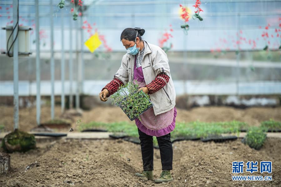 （新華全媒頭條&middot;圖文互動(dòng)）（9）書寫新的轉(zhuǎn)折&mdash;&mdash;寫在革命老區(qū)遵義全面脫貧之際
