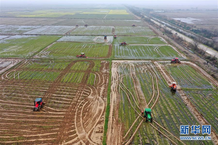 （抓好春耕備耕 穩(wěn)住農(nóng)業(yè)生產(chǎn)&middot;圖文互動(dòng)）（2）智能農(nóng)機(jī)、&ldquo;訂單&rdquo;服務(wù)、&ldquo;云端&rdquo;種菜&mdash;&mdash;來自江西的春耕&ldquo;新事&rdquo;