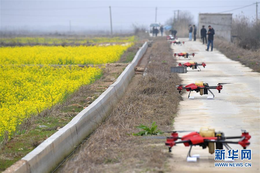 （抓好春耕備耕 穩(wěn)住農(nóng)業(yè)生產(chǎn)&middot;圖文互動(dòng)）（4）智能農(nóng)機(jī)、&ldquo;訂單&rdquo;服務(wù)、&ldquo;云端&rdquo;種菜&mdash;&mdash;來自江西的春耕&ldquo;新事&rdquo;