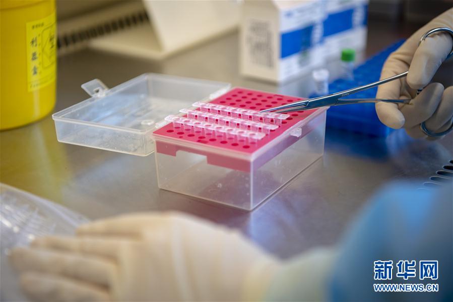 （一線抗疫群英譜&middot;圖文互動）（4）&ldquo;90后&rdquo;檢驗(yàn)員張慧變：每個樣本都是一份沉甸甸的責(zé)任