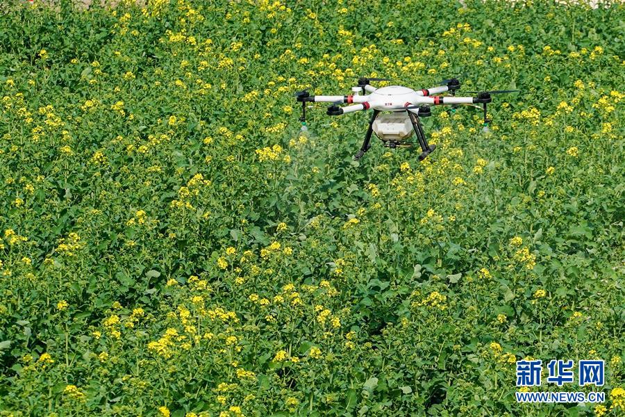 (在習(xí)近平新時代中國特色社會主義思想指引下——新時代新作為新篇章·習(xí)近平總書記關(guān)切事·圖文互動)(17)精準(zhǔn)發(fā)力抓統(tǒng)籌——各地落實(shí)“分區(qū)分級”有序恢復(fù)生產(chǎn)生活