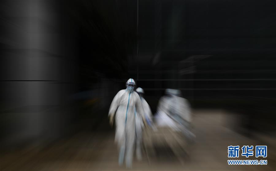 （聚焦疫情防控&middot;圖文互動）（13）這個春天，期待已久