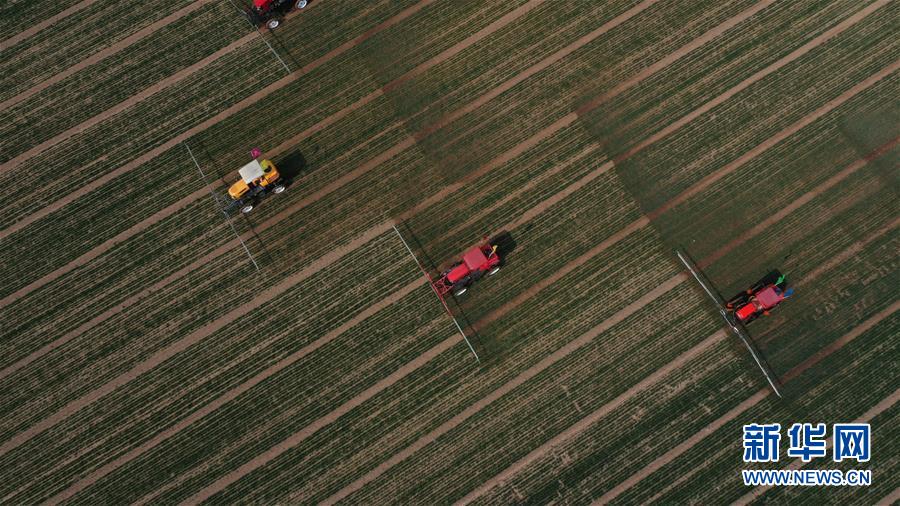 （新華全媒頭條&middot;圖文互動(dòng)）（5）春色最濃在田間&mdash;&mdash;來自全國春耕備耕的現(xiàn)場(chǎng)觀察