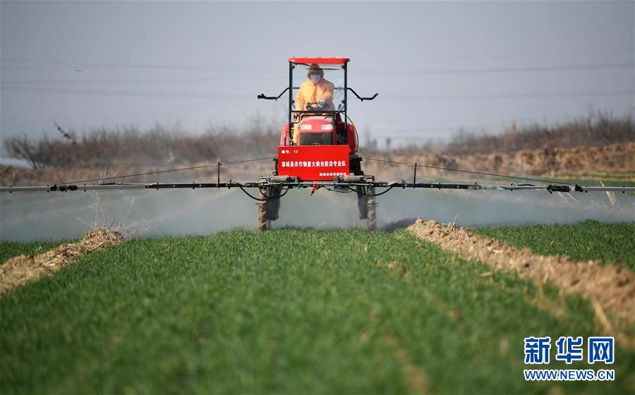 （新華全媒頭條&middot;圖文互動(dòng)）（9）春色最濃在田間&mdash;&mdash;來自全國春耕備耕的現(xiàn)場(chǎng)觀察