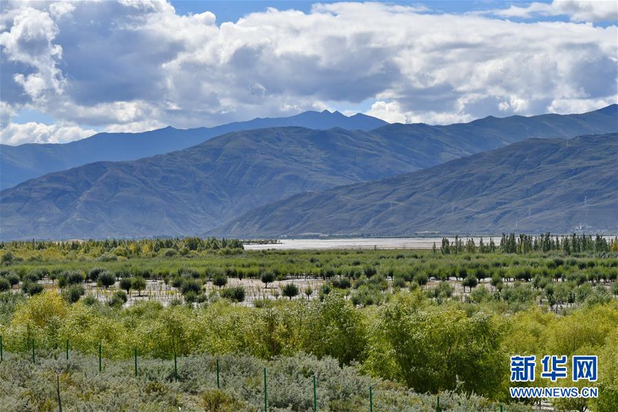 （圖文互動(dòng)）（4）&ldquo;今天的生活，就像夢(mèng)里夢(mèng)到那樣甜&rdquo;&mdash;&mdash;寫在西藏百萬(wàn)農(nóng)奴解放61周年之際