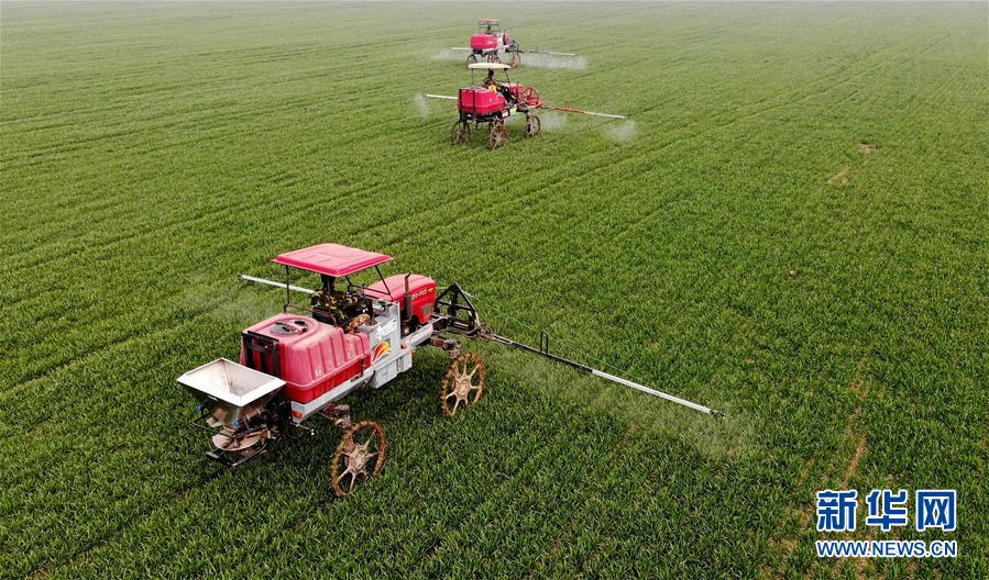 （新華全媒頭條&middot;圖文互動(dòng)）（3）春天，匯聚復(fù)蘇的力量&mdash;&mdash;寫在2020年首季中國經(jīng)濟(jì)收官之際