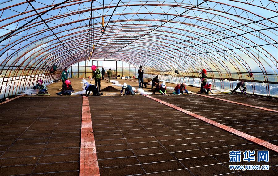 （在習(xí)近平新時(shí)代中國(guó)特色社會(huì)主義思想指引下&mdash;&mdash;新時(shí)代新作為新篇章&middot;習(xí)近平總書(shū)記關(guān)切事&middot;圖文互動(dòng)）（5）希望的田野，希望的春天&mdash;&mdash;各地農(nóng)業(yè)生產(chǎn)新動(dòng)態(tài)掃描