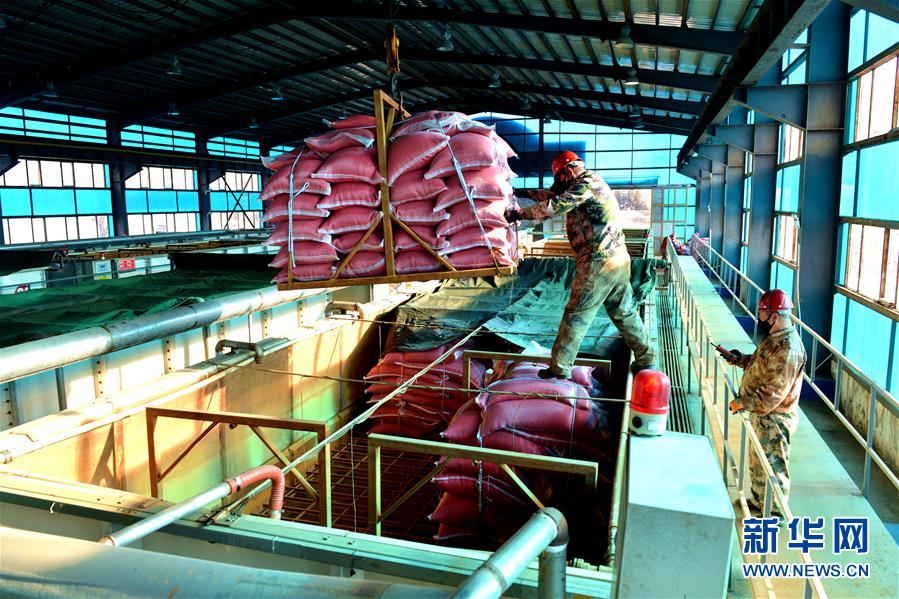 （在習(xí)近平新時(shí)代中國(guó)特色社會(huì)主義思想指引下&mdash;&mdash;新時(shí)代新作為新篇章&middot;習(xí)近平總書(shū)記關(guān)切事&middot;圖文互動(dòng)）（6）希望的田野，希望的春天&mdash;&mdash;各地農(nóng)業(yè)生產(chǎn)新動(dòng)態(tài)掃描