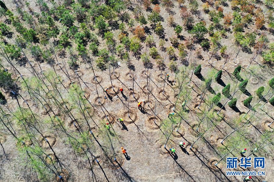 (新華全媒頭條·圖文互動)(5)雄安畫卷徐徐鋪展 “未來之城”蓄勢待發(fā)——雄安新區(qū)設(shè)立三周年巡禮