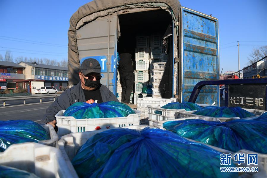 （在習(xí)近平新時(shí)代中國(guó)特色社會(huì)主義思想指引下&mdash;&mdash;新時(shí)代新作為新篇章&middot;習(xí)近平總書記關(guān)切事&middot;圖文互動(dòng)）（3）抗疫之下 保供無憂