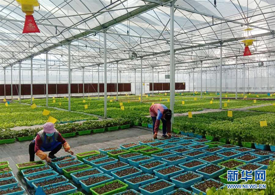 （在習(xí)近平新時(shí)代中國(guó)特色社會(huì)主義思想指引下&mdash;&mdash;新時(shí)代新作為新篇章&middot;習(xí)近平總書記關(guān)切事&middot;圖文互動(dòng)）（5）抗疫之下 保供無憂