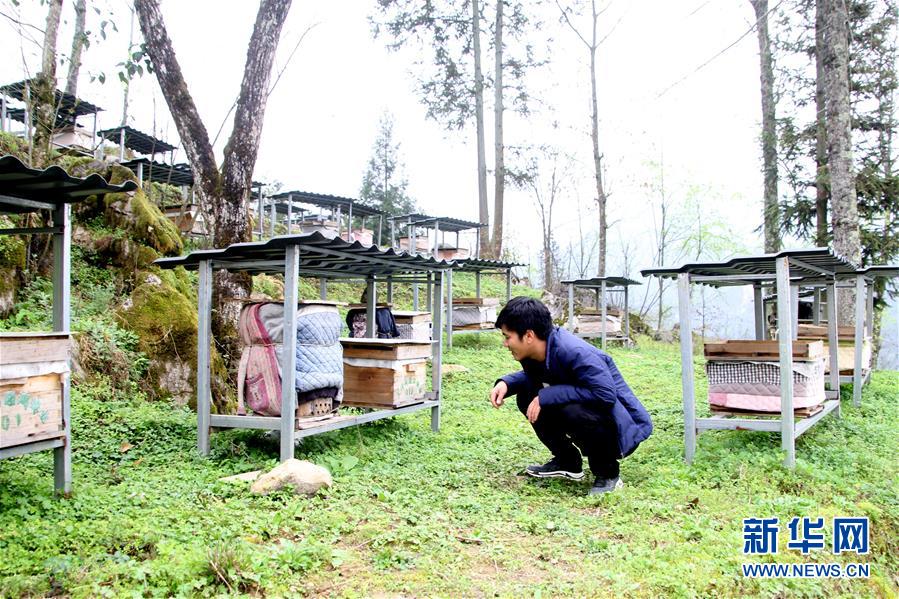 （決戰(zhàn)決勝脫貧攻堅(jiān)&middot;圖文互動）（3）寄相思，償夙愿&mdash;&mdash;5封清明&ldquo;家書&rdquo;里的決戰(zhàn)決勝信念