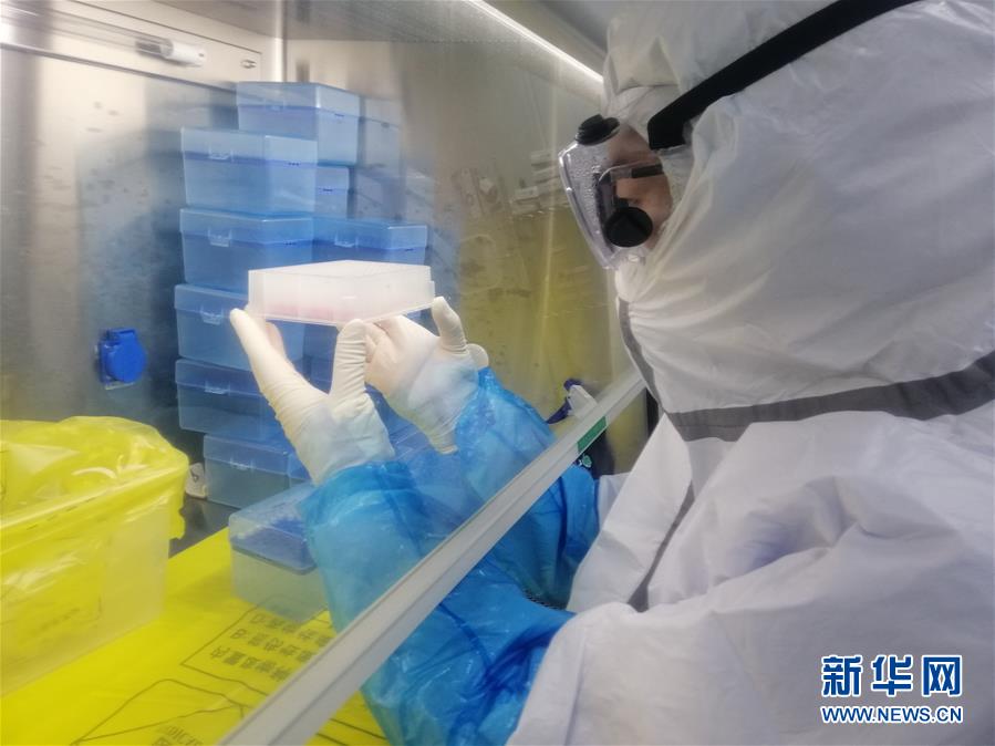 （一線抗疫群英譜&middot;圖文互動）（2）&ldquo;95后&rdquo;大學生郝鶯歌：退掉車票，她選擇直面病毒