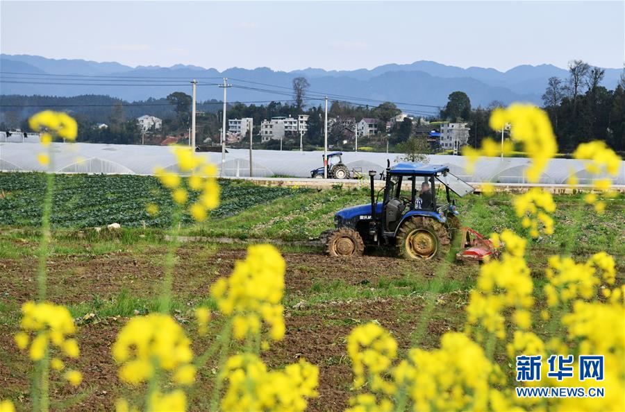 (決戰(zhàn)決勝脫貧攻堅(jiān)·圖文互動(dòng))(3)貴州黔東南:搶抓壩區(qū)春耕 決勝脫貧攻堅(jiān)