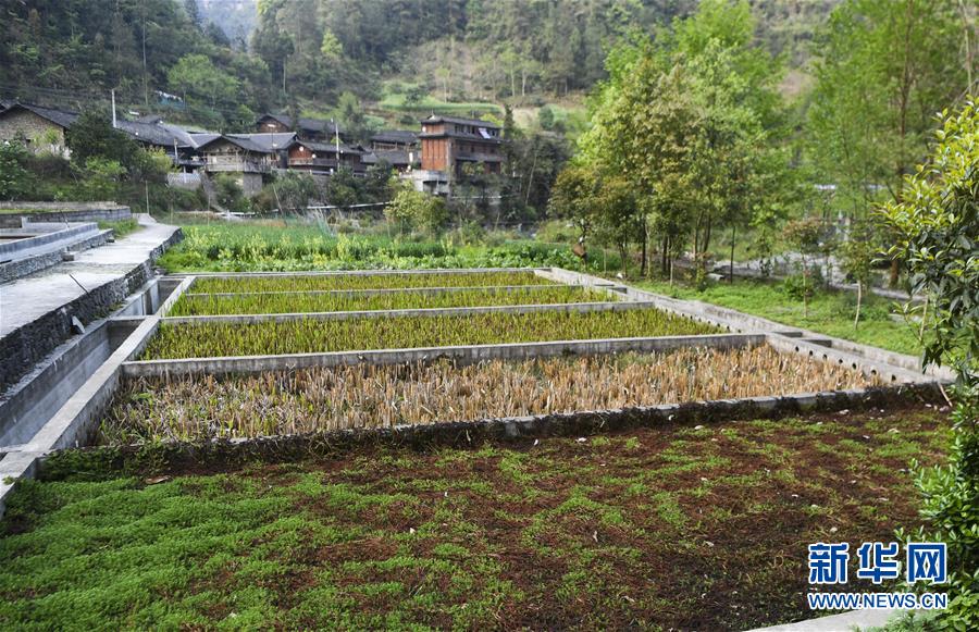 （圖文互動(dòng)）（3）&ldquo;消失&rdquo;的小南海