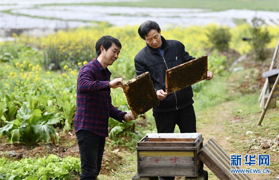 （決戰(zhàn)決勝脫貧攻堅(jiān)&middot;圖文互動(dòng)）（2）一位農(nóng)民的產(chǎn)業(yè)扶貧成績(jī)單 