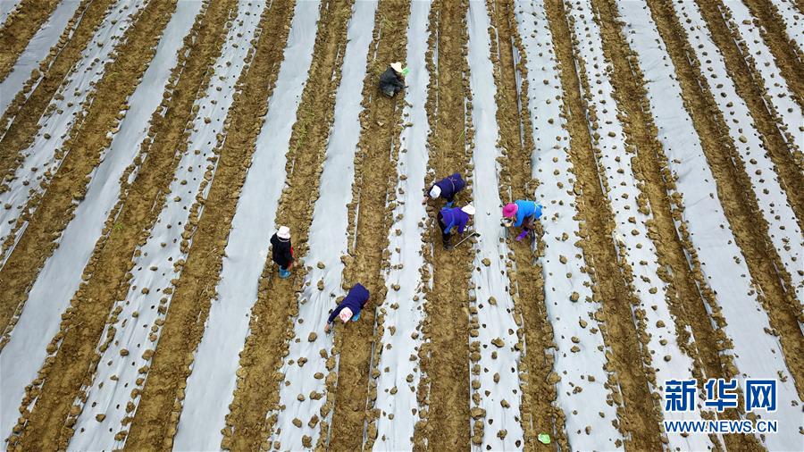 （在習(xí)近平新時(shí)代中國(guó)特色社會(huì)主義思想指引下&mdash;&mdash;新時(shí)代新作為新篇章&middot;習(xí)近平總書記關(guān)切事&middot;圖文互動(dòng)）（8）啃下最后的硬骨頭&mdash;&mdash;脫貧攻堅(jiān)掛牌督戰(zhàn)進(jìn)行時(shí)