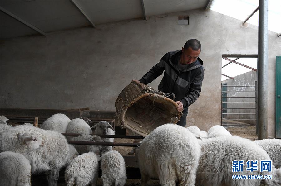 （新華全媒頭條&middot;圖文互動）（1）春天里的5個&ldquo;戰(zhàn)貧&rdquo;瞬間&mdash;&mdash;習近平總書記關(guān)于脫貧攻堅決策部署指引攻克最后的深貧堡壘