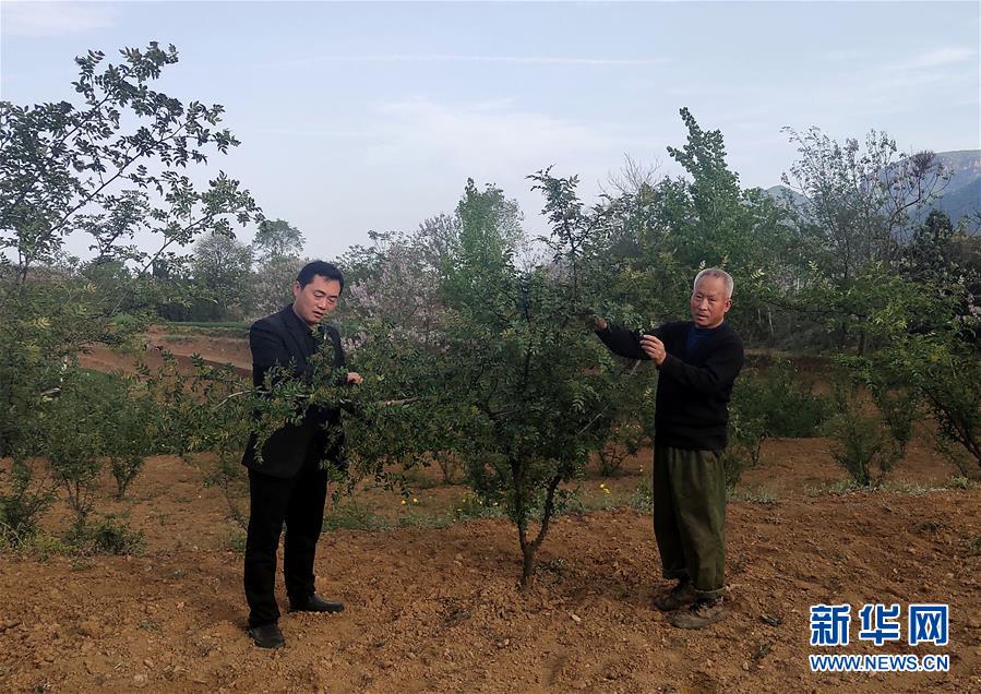 （新華全媒頭條&middot;圖文互動）（6）春天里的5個&ldquo;戰(zhàn)貧&rdquo;瞬間&mdash;&mdash;習近平總書記關(guān)于脫貧攻堅決策部署指引攻克最后的深貧堡壘