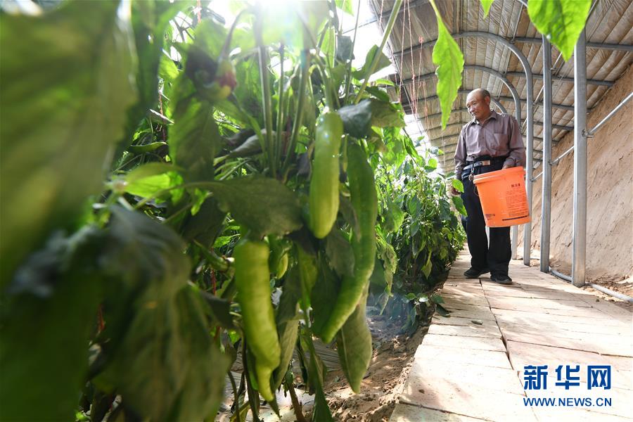 （新華全媒頭條&middot;圖文互動）（15）春天里的5個&ldquo;戰(zhàn)貧&rdquo;瞬間&mdash;&mdash;習近平總書記關(guān)于脫貧攻堅決策部署指引攻克最后的深貧堡壘