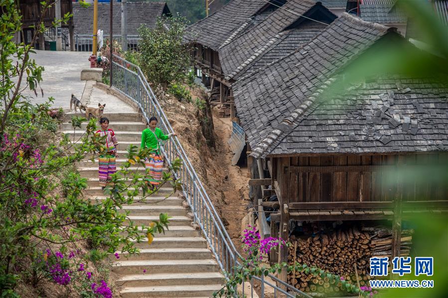 （決戰(zhàn)決勝脫貧攻堅(jiān)&middot;圖文互動(dòng)）（2）&ldquo;孩子再也不用學(xué)打獵了&rdquo;&mdash;&mdash;拉祜族女獵手告別狩獵