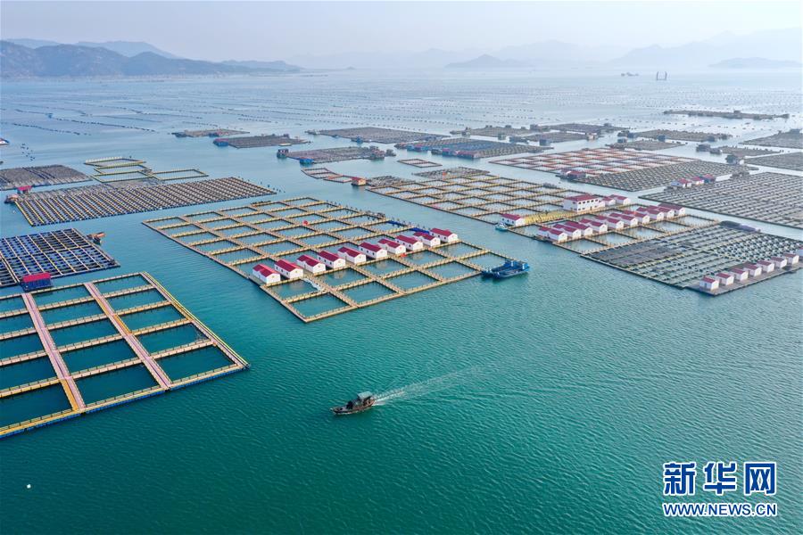 （新華全媒頭條&middot;圖文互動）（10）永遠(yuǎn)的夢想 永恒的追求&mdash;&mdash;寫在北京世園會開幕一周年之際