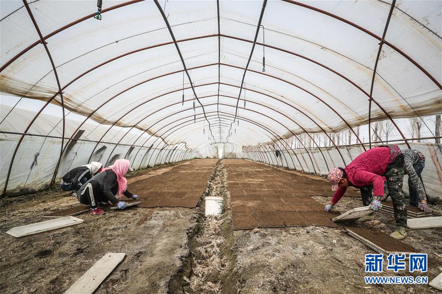 （在習近平新時代中國特色社會主義思想指引下&mdash;&mdash;新時代新作為新篇章&middot;習近平總書記關(guān)切事&middot;圖文互動）（6）春耕忙 信心足&mdash;&mdash;谷雨時節(jié)走馬東北直擊糧事