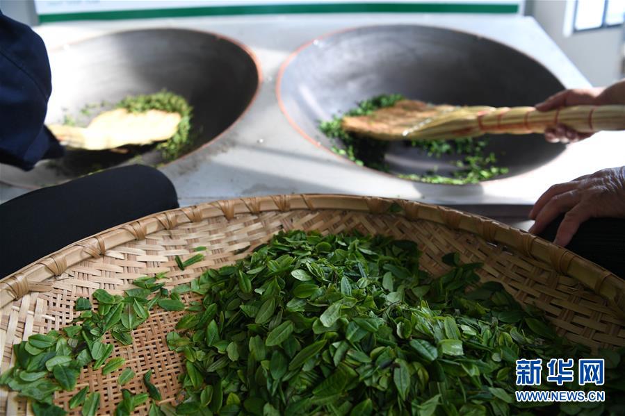 (新華全媒頭條·圖文互動)(9)紅土地上的“綠色減貧”決戰(zhàn)——大別山“將軍縣”金寨脫貧紀(jì)實(shí)